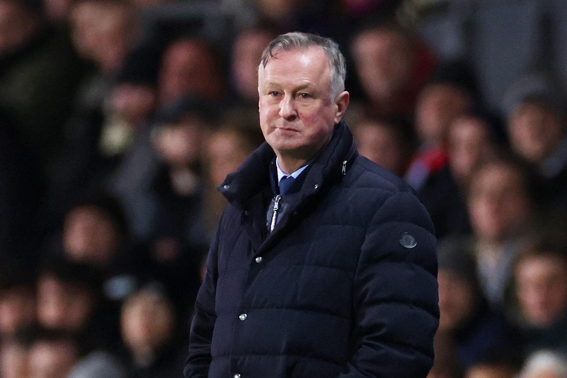Former Premier League manager feels Michael O'Neill job share 'little ...