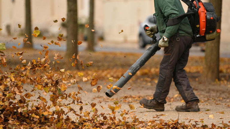 Leaf vacuum vs. leaf blower: Which is better for your needs?