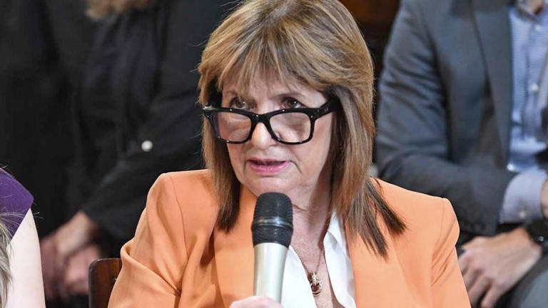 Patricia Bullrich llamó "señora presidiaria" a Cristina Kirchner y la ...