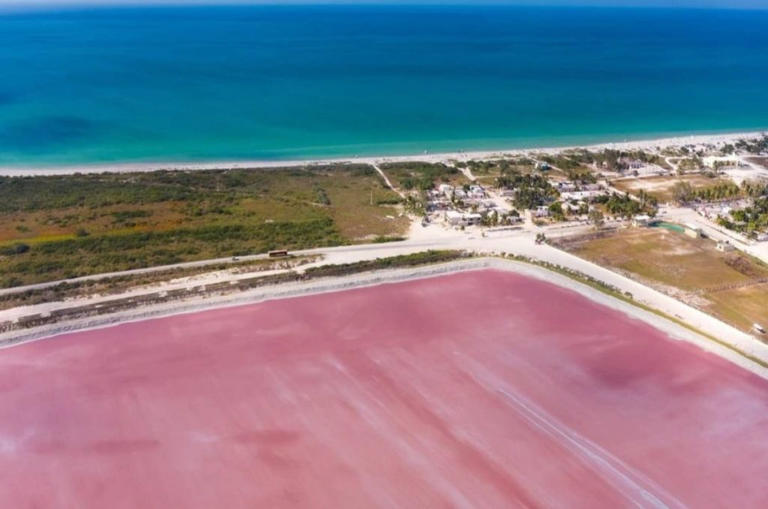 Las Coloradas Yucatán: por qué el agua de la laguna es rosa