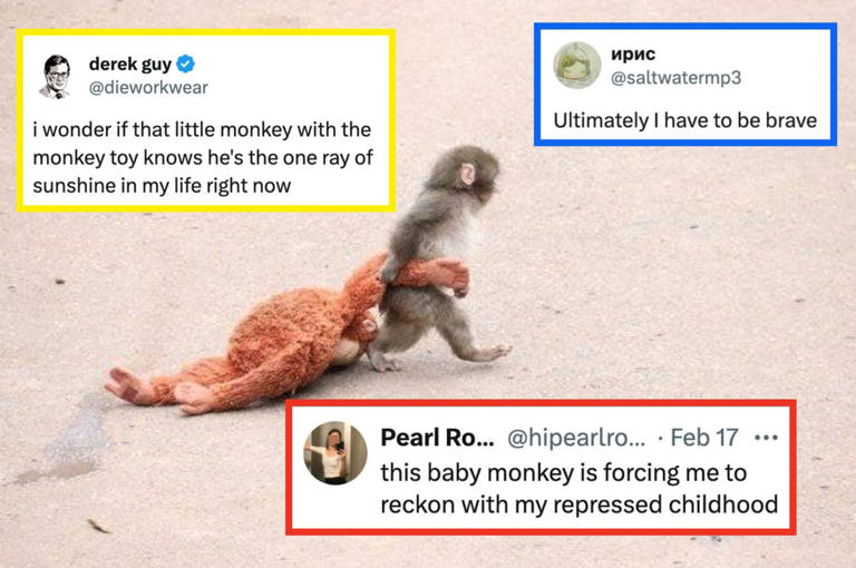 The internet has officially fallen in love with Punch, an abandoned ...