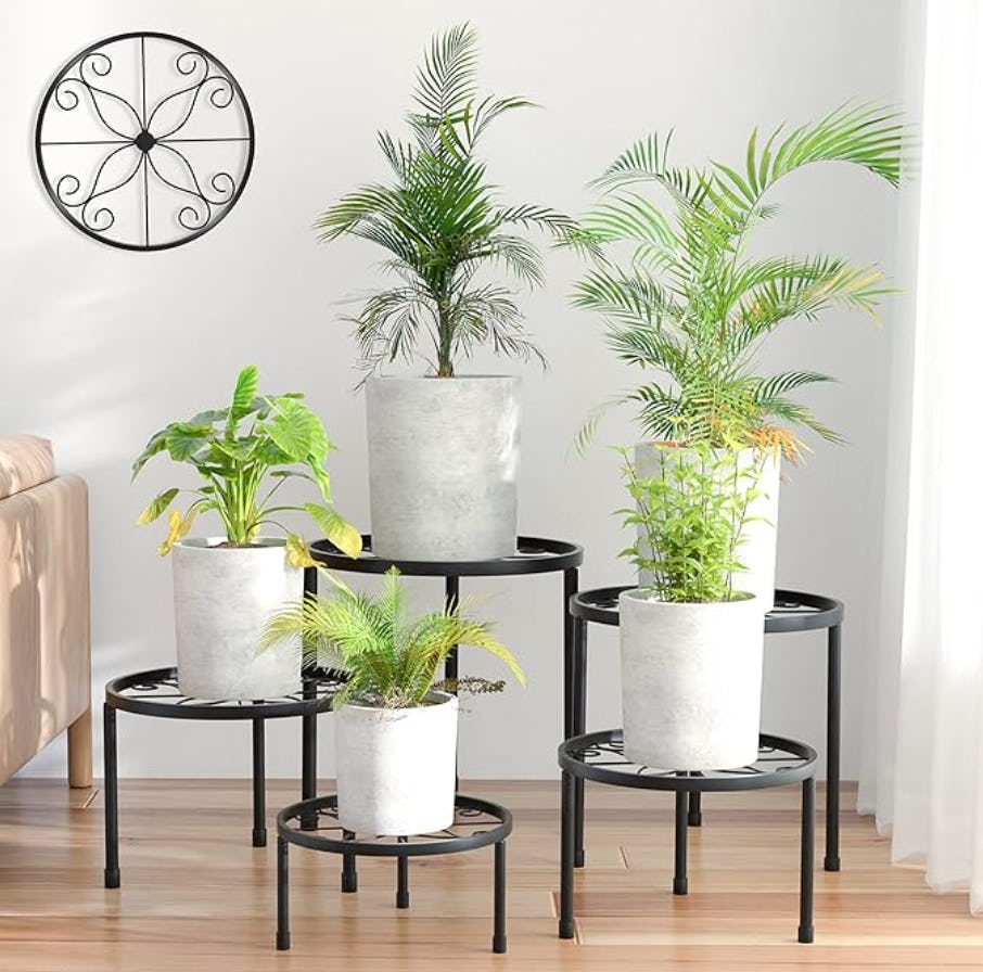 The 75 Most Impressive Backyard Upgrades We Found on Amazon Under $30