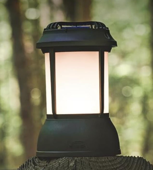 The 75 Most Impressive Backyard Upgrades We Found on Amazon Under $30