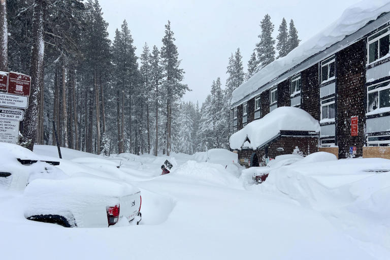 Nionde kropp hittad efter lavinolycka