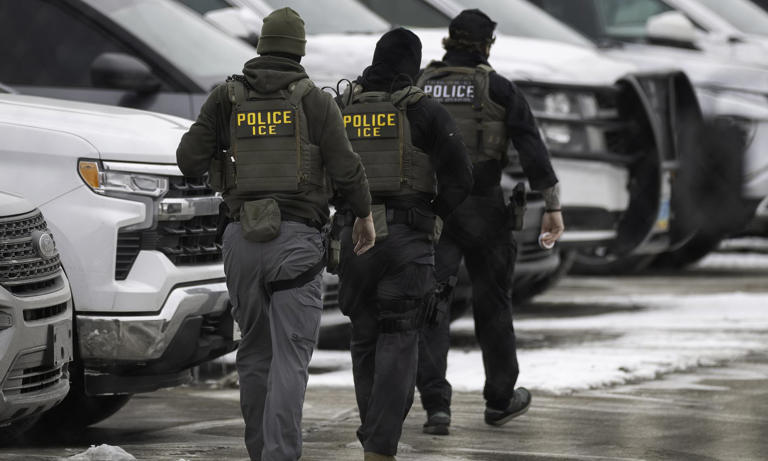 British grandmother detained by ICE for weeks despite having a valid ...