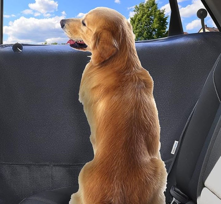 The dopest things for your car you never knew existed