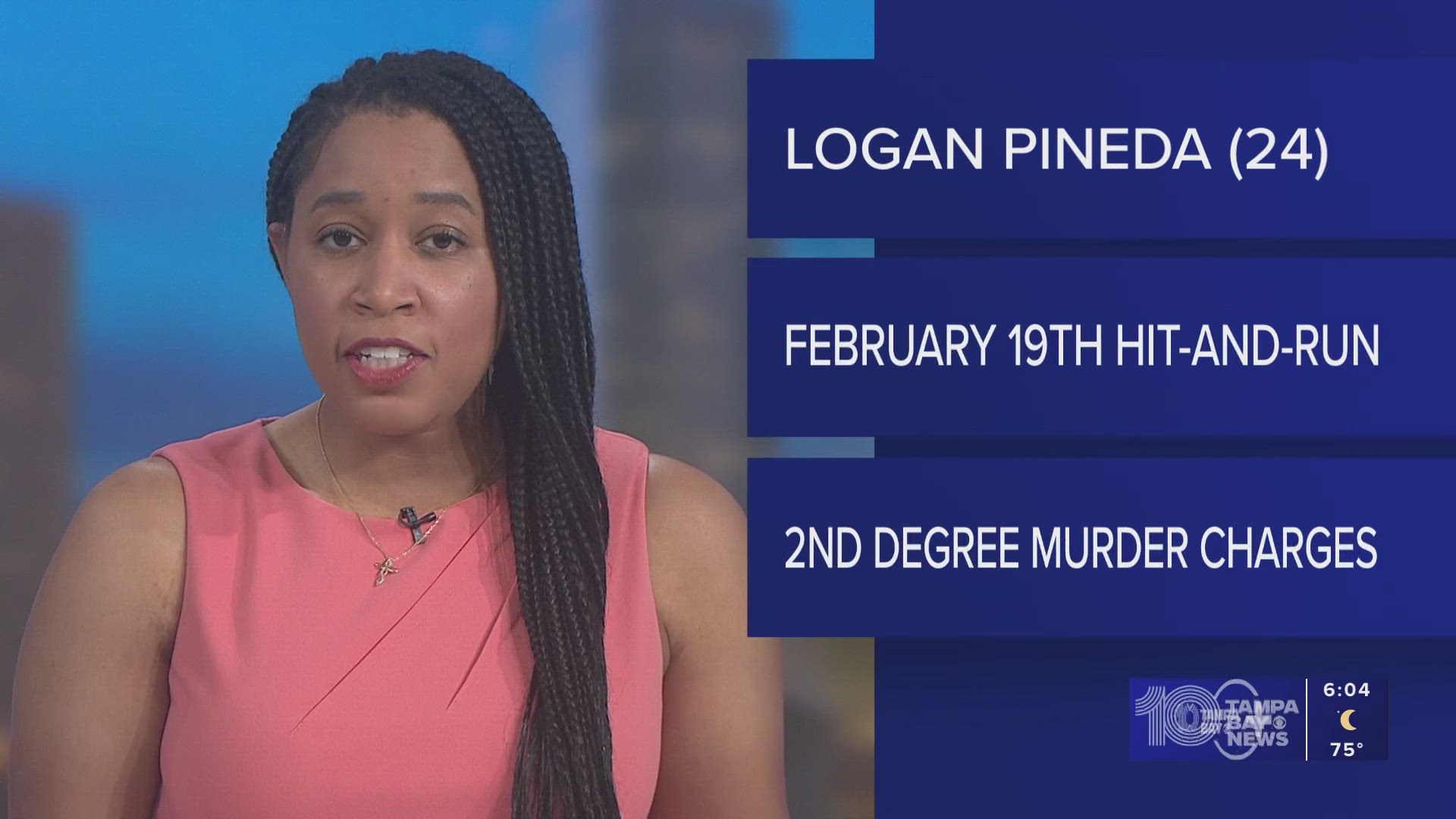 Tesla driver arrested after deadly hit-and-run in Hudson, FHP says