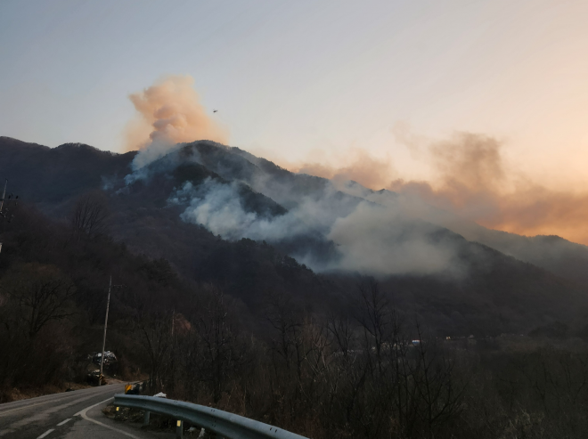 함양 산불 진화와 안중근 유묵 귀환, 그리고 정치적 긴장 고조
