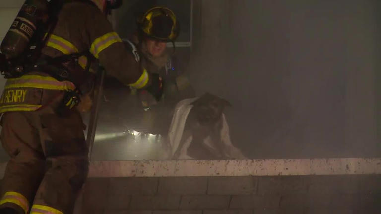 Watch: Firefighters rescue dog trapped in Toledo house fire