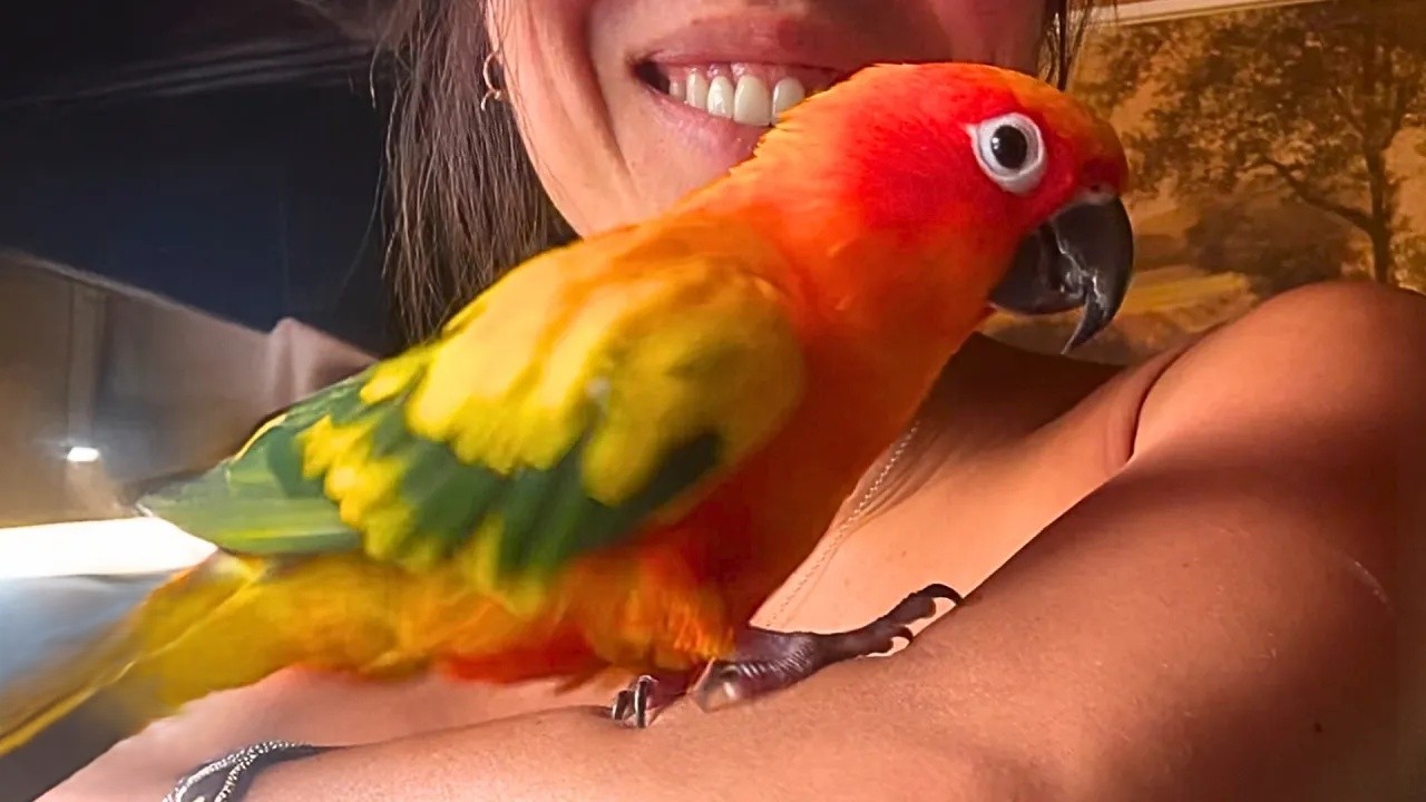 She went to get the mail - and came back with a parrot on her shoulder