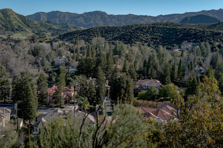 Many homeowners are dealing with insurance problems following the Los Angeles County fires.