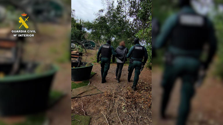 Detenidos cuatro cabecillas de Anonymous en España por ciberataques a ...