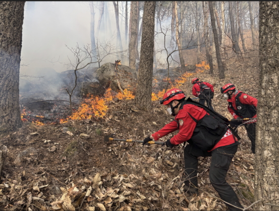 함양 산불 대응 강화와 직장인 업무 연락 문제 심각성 대두
