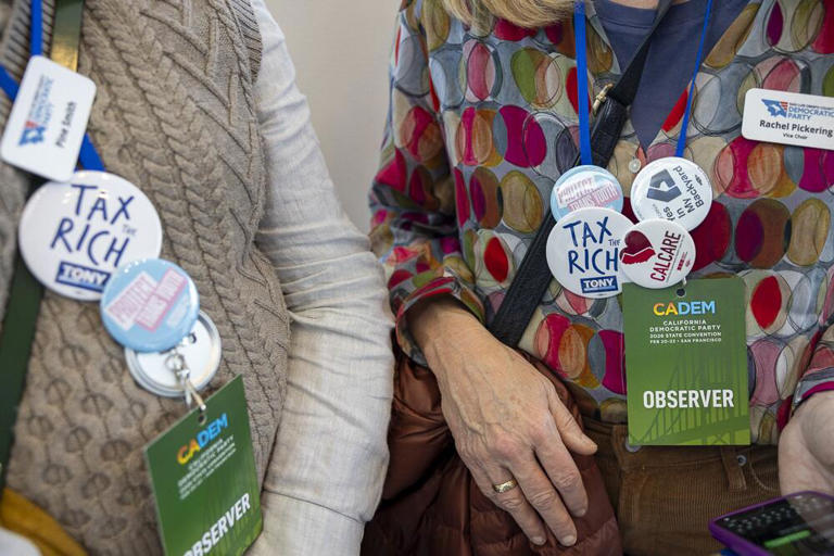 Rachel Pickering, right, vice chair of the San Luis Obispo County Democratic Party, stands with others wearing pins supporting Democratic causes at the party's state convention. ((Christina House/Los Angeles Times))