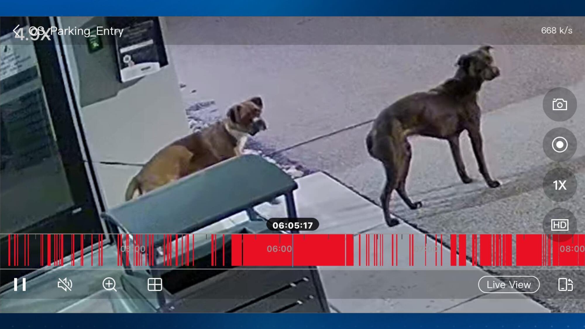 Dogs left tied to front door of Washington Area Humane Society, leading ...