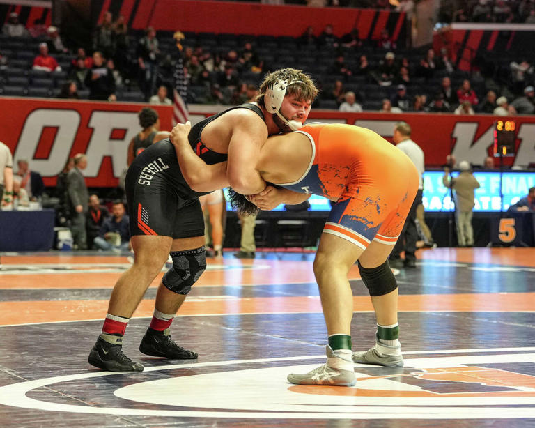 McNamara, Janek lead Edwardsville's state medal haul