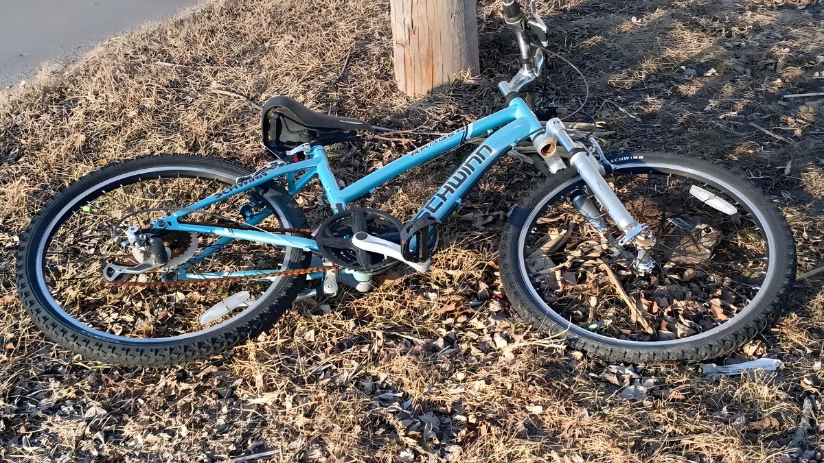 A rabbit is hiding near the bicycle – can you see it?