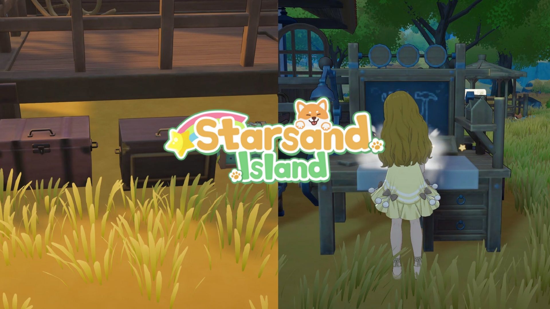 10 tips you need to know when starting Starsand Island