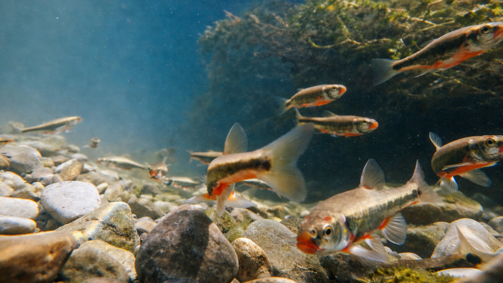 My underwater camera recorded this clear shot