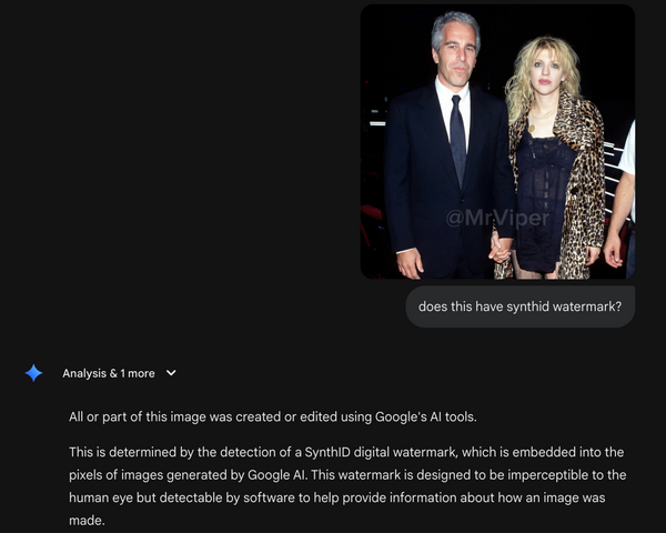 beware-alleged-epstein-and-courtney-love-photo