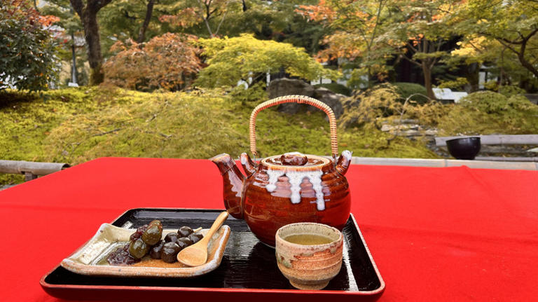 America's oldest tea garden is located in this California city