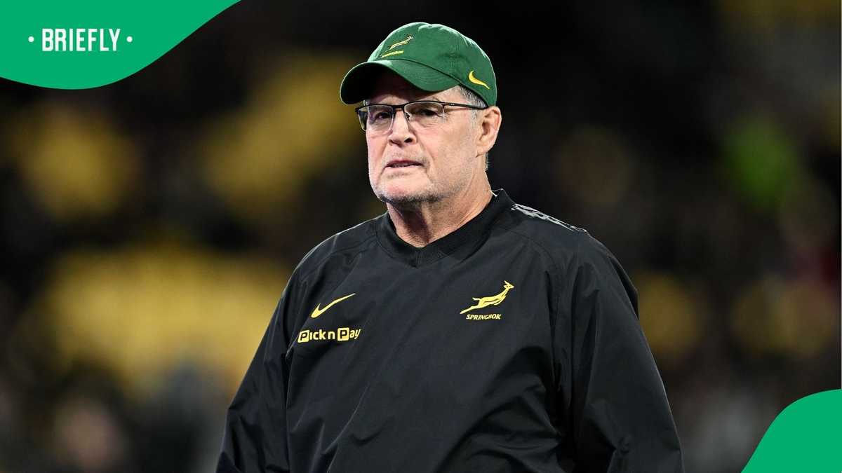 David Ribbans: England star now eligible for Springboks selection ahead ...