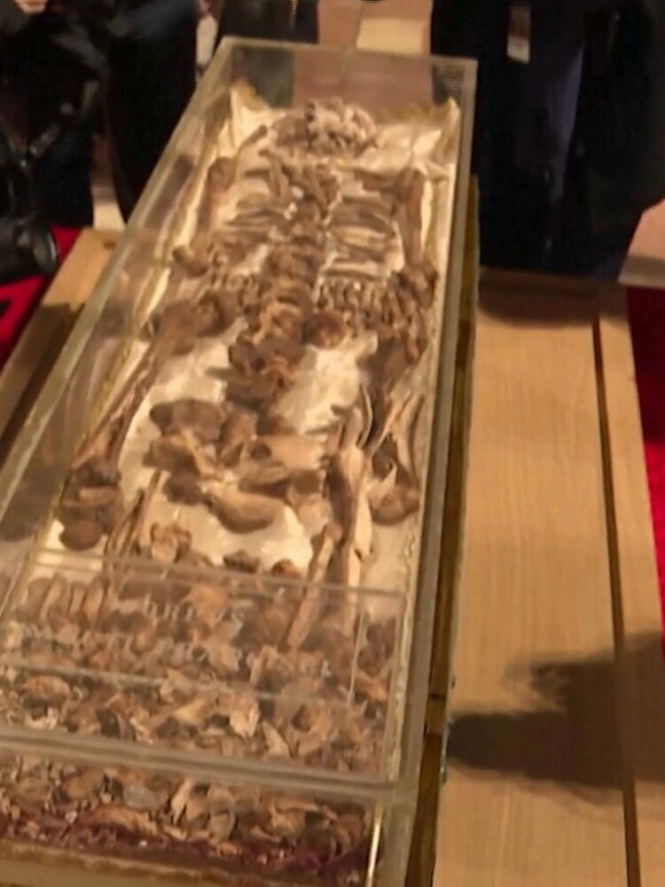 Ad Assisi per la prima volta l'ostensione delle reliquie di San Francesco