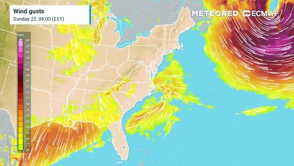 Nor'easter will whip up strong winds and lay down heavy snow to start ...