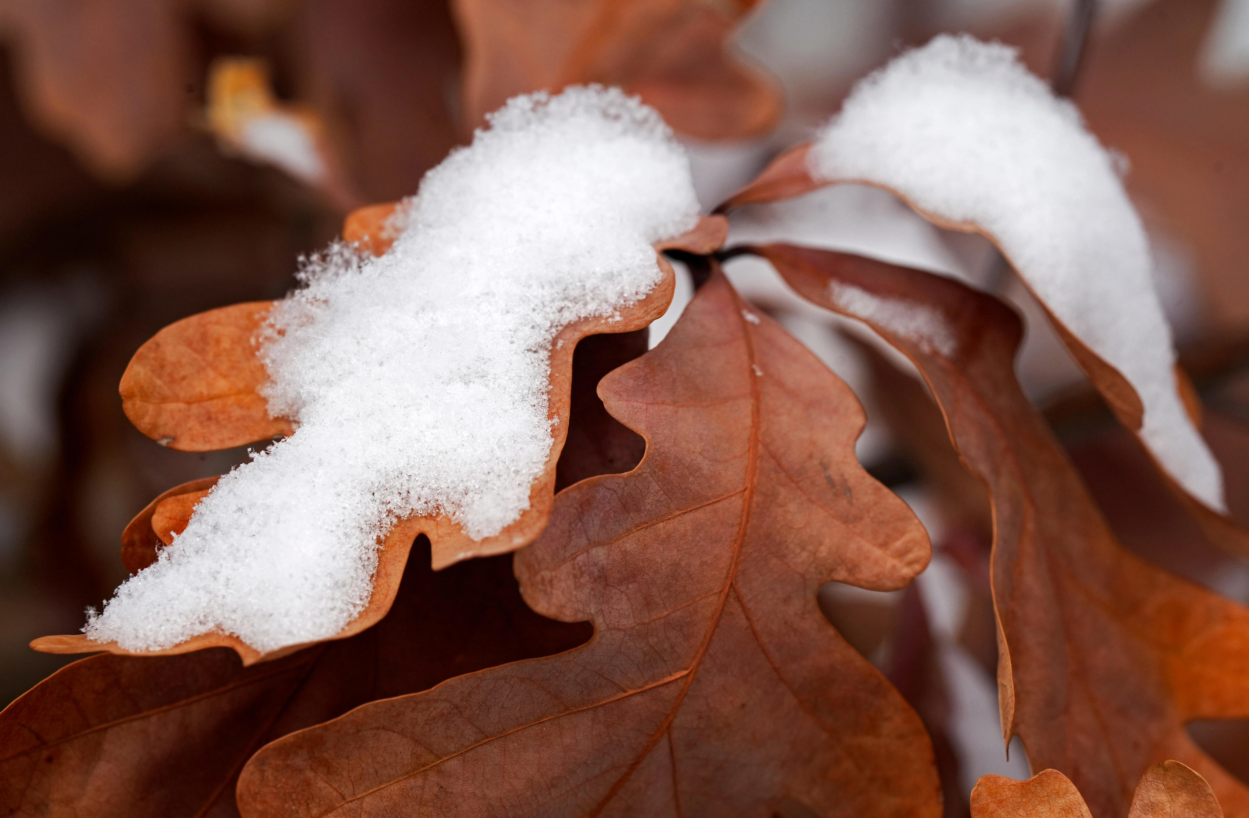 Winter storm watch issued for Northeast Ohio. How much snow are we getting?