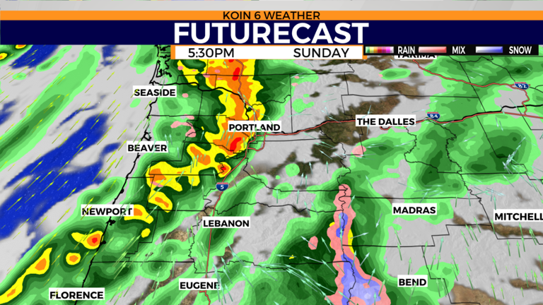 Soaking rain and breezy conditions expected around Portland Sunday