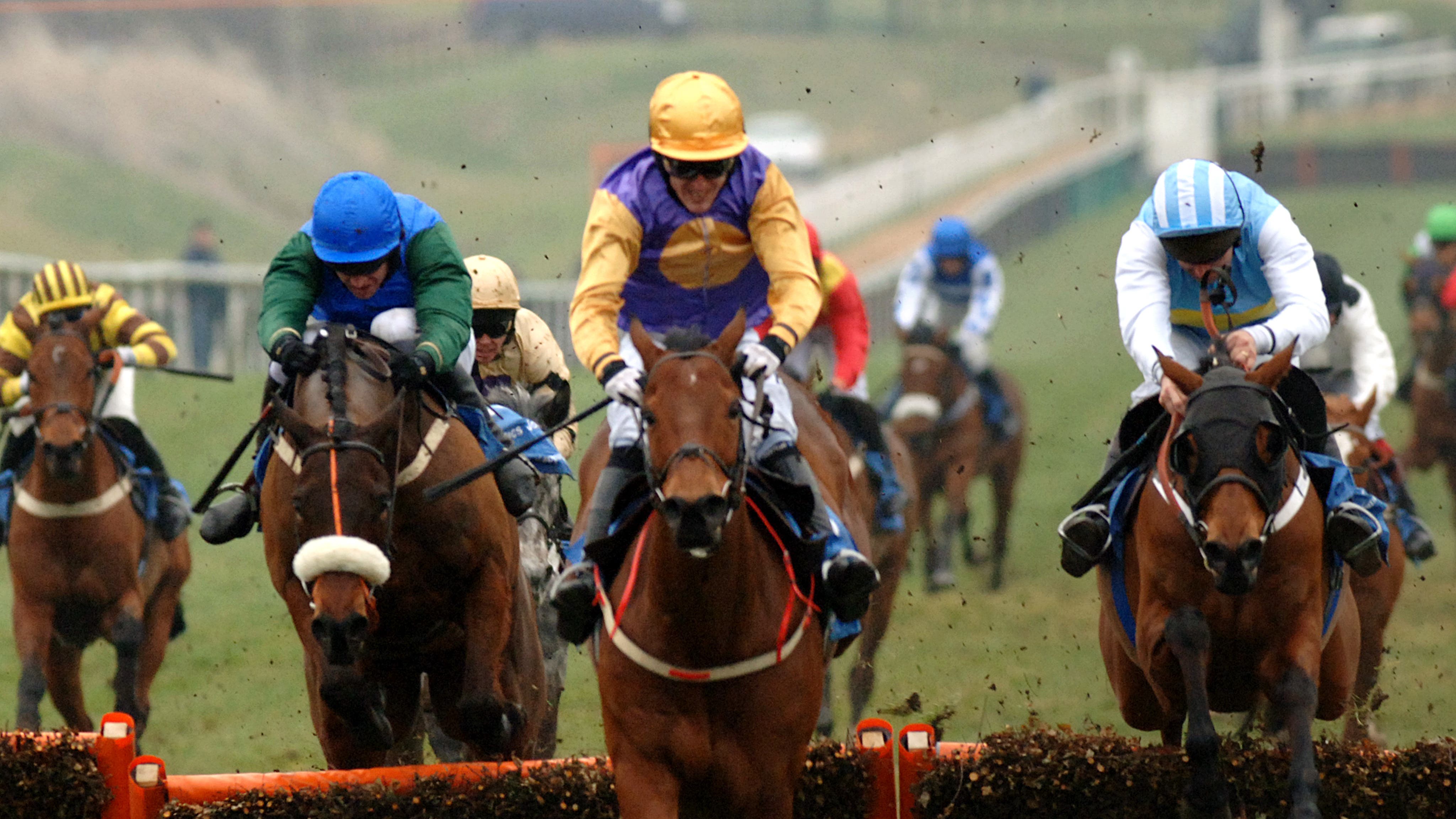 The bravest of the brave – 20 years since Inca’s Champion Hurdle triumph