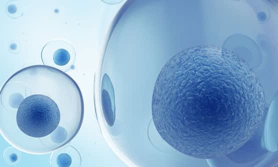 Researchers create new molecule to insert DNA into cells