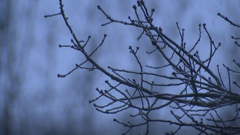 Maryland Gov. Wes Moore declares state of emergency for winter storm ...