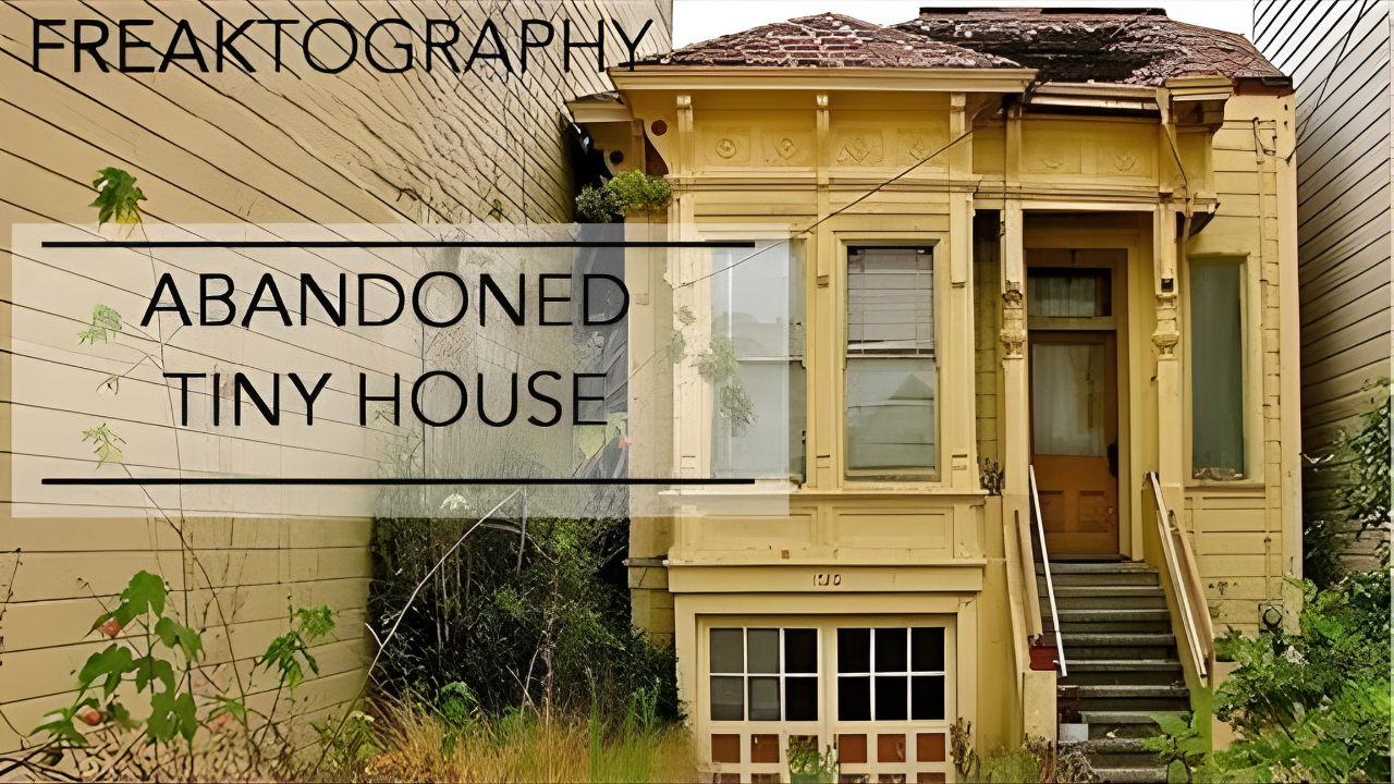 Exploring an abandoned tiny house while being chased by angry raccoons