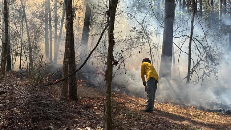 'Avoid the area' | HFD battling wildfire in NE Houston, residents could ...