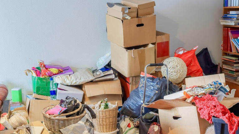 14 sneaky things that are attracting roaches to your home