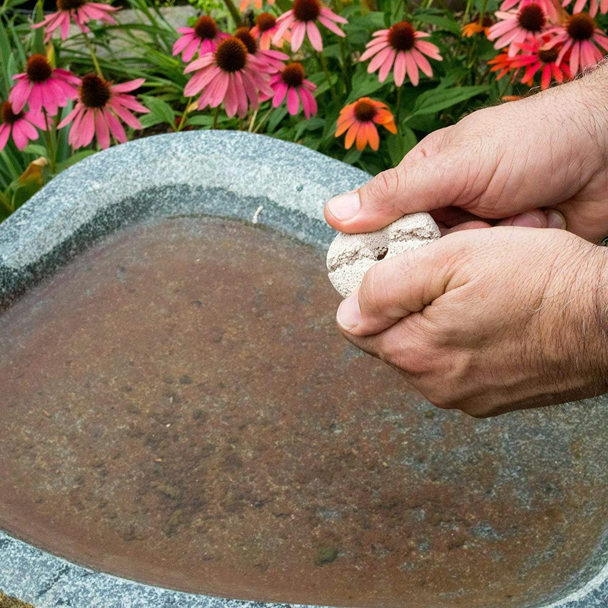 60 weird things that'll make your home & yard look better in under 5 mins
