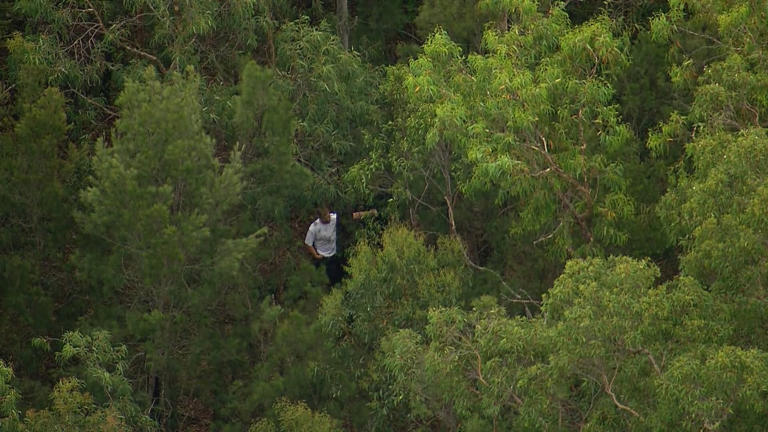 Baghsarian has been missing since February 13.