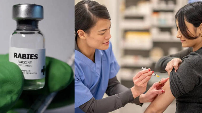 Rabies vaccine warning: Doctors say it should only be given in the ...