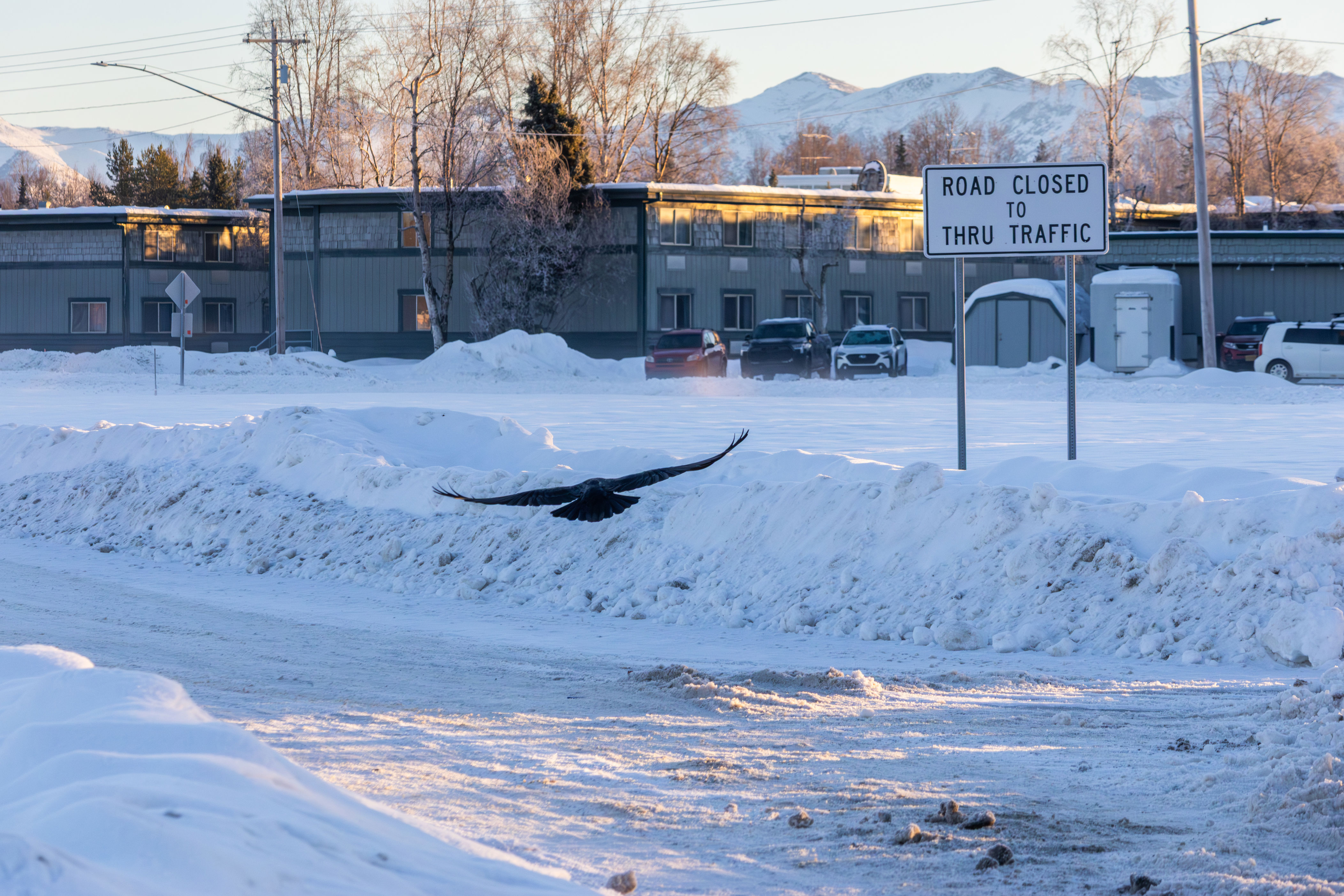 Winter storm warnings for 11 states as record-breaking snowfall strikes