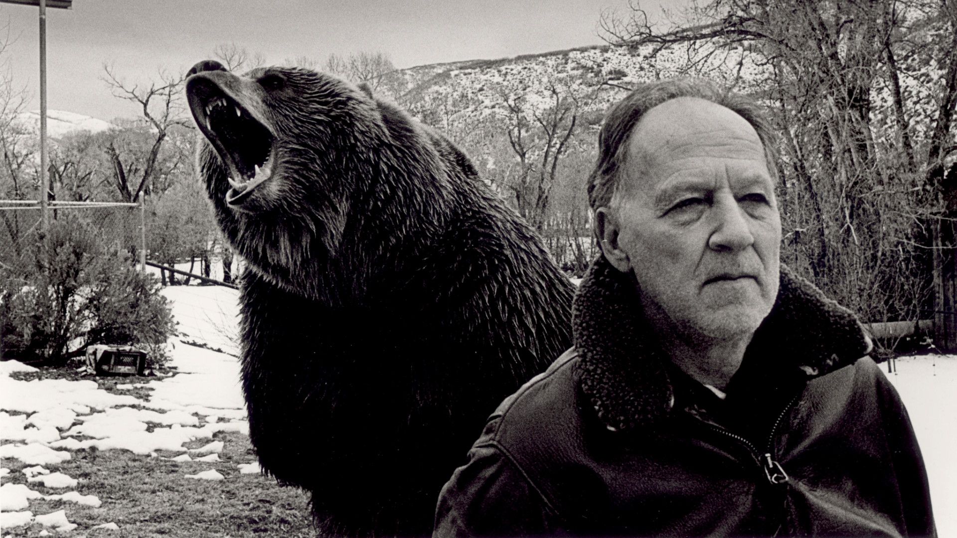 10 greatest documentary movie masterpieces of the last 100 years, ranked
