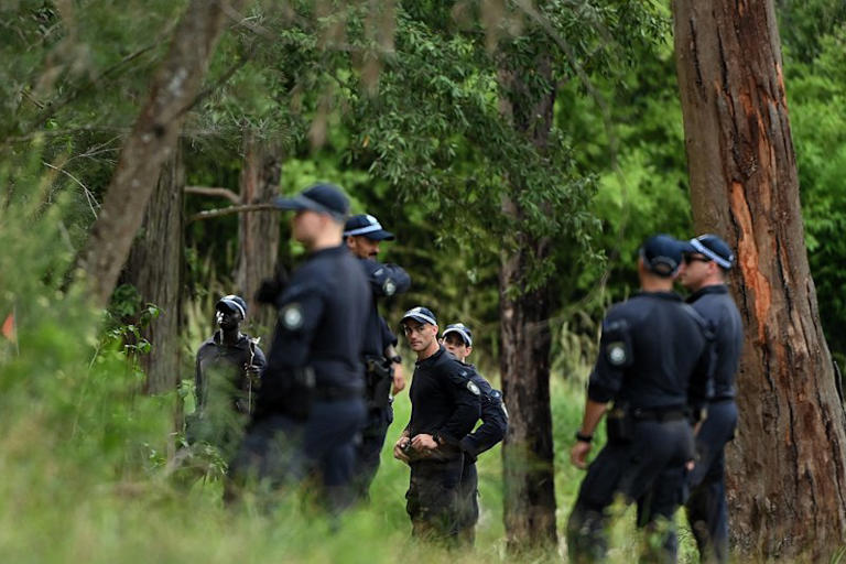 Police search bushland at Glenorie for Baghsarian.