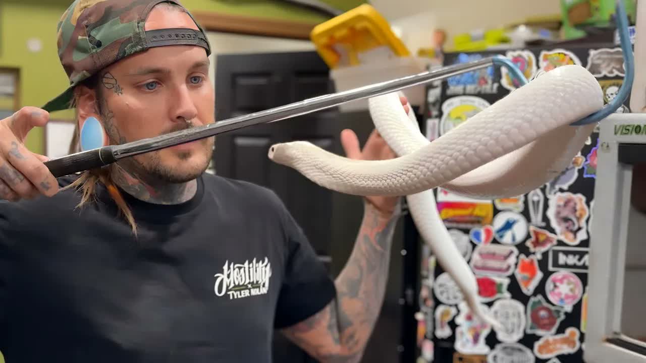 Incident in the venomous snake building - what went wrong