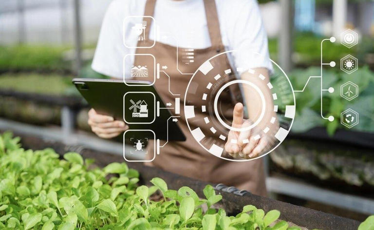 Cargill upgrades its global manufacturing operations in order to ...
