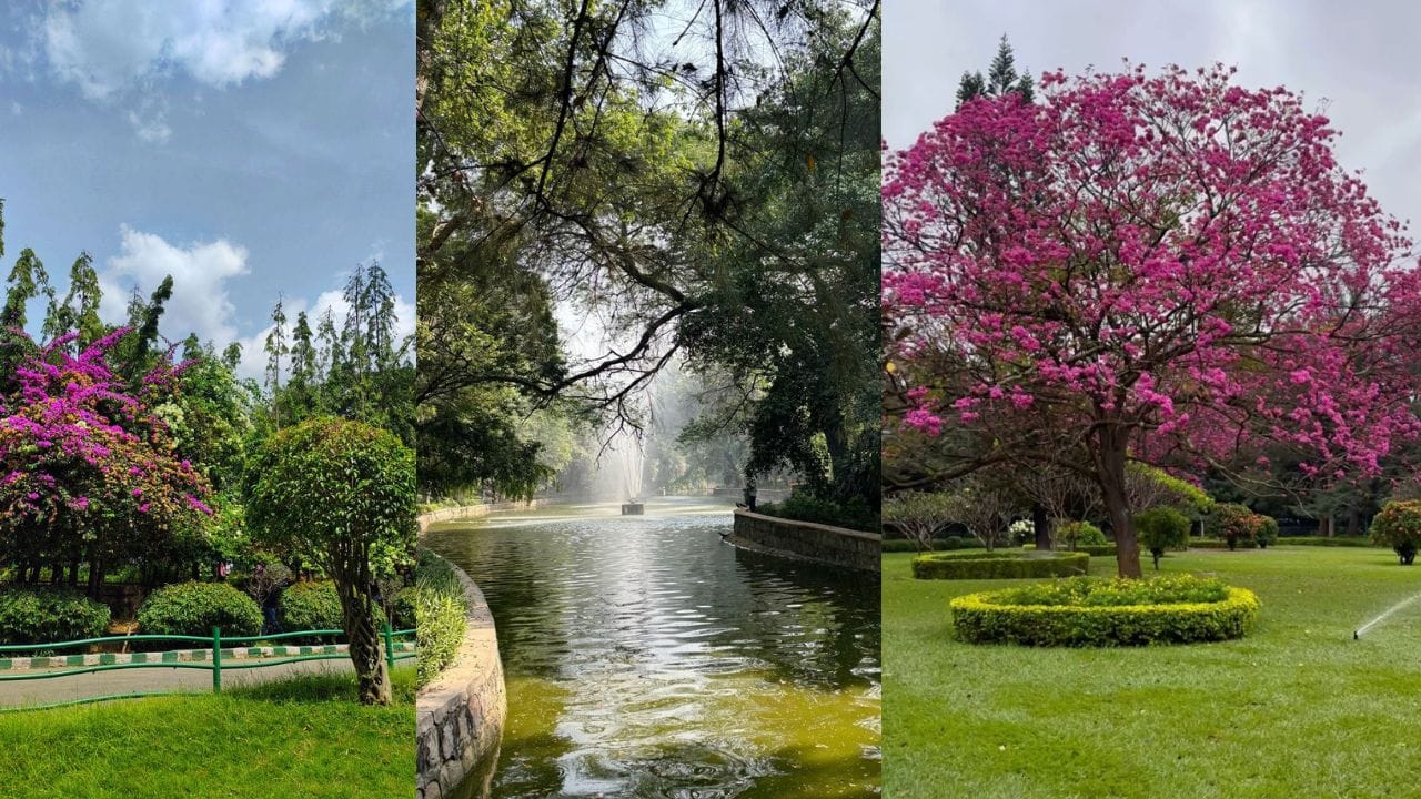 Why Bengaluru is known as the garden city: Top green spaces to visit