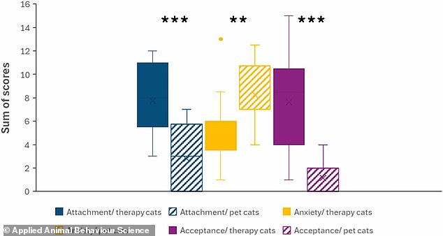 Cats are more independent than dogs - and don't need their owners ...