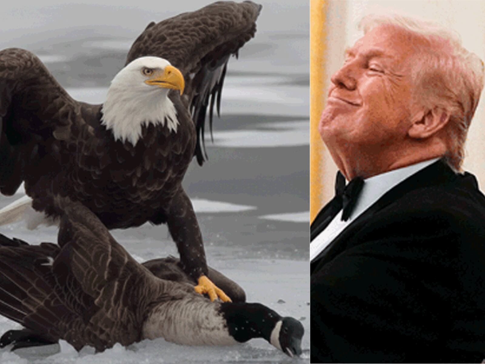 US ice hockey wins 46-year gold, Trump celebrates