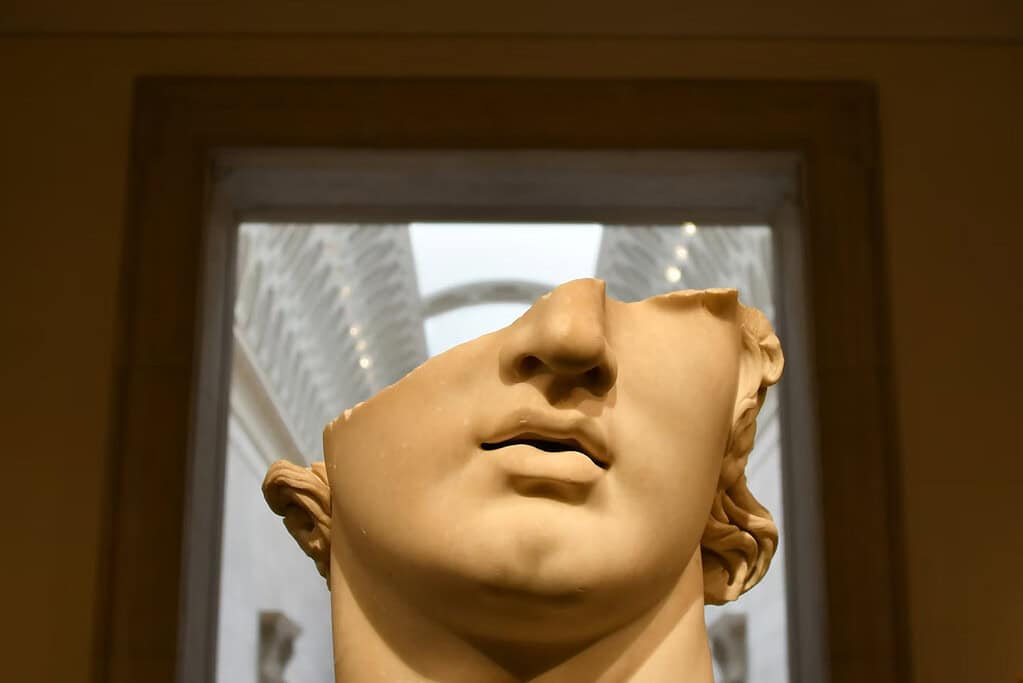The mystery of why only humans have chins may finally have an answer ...