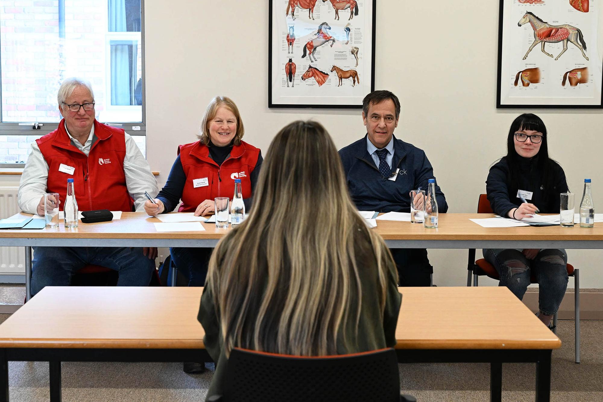 Horse Week: CAFRE equine students develop interview confidence