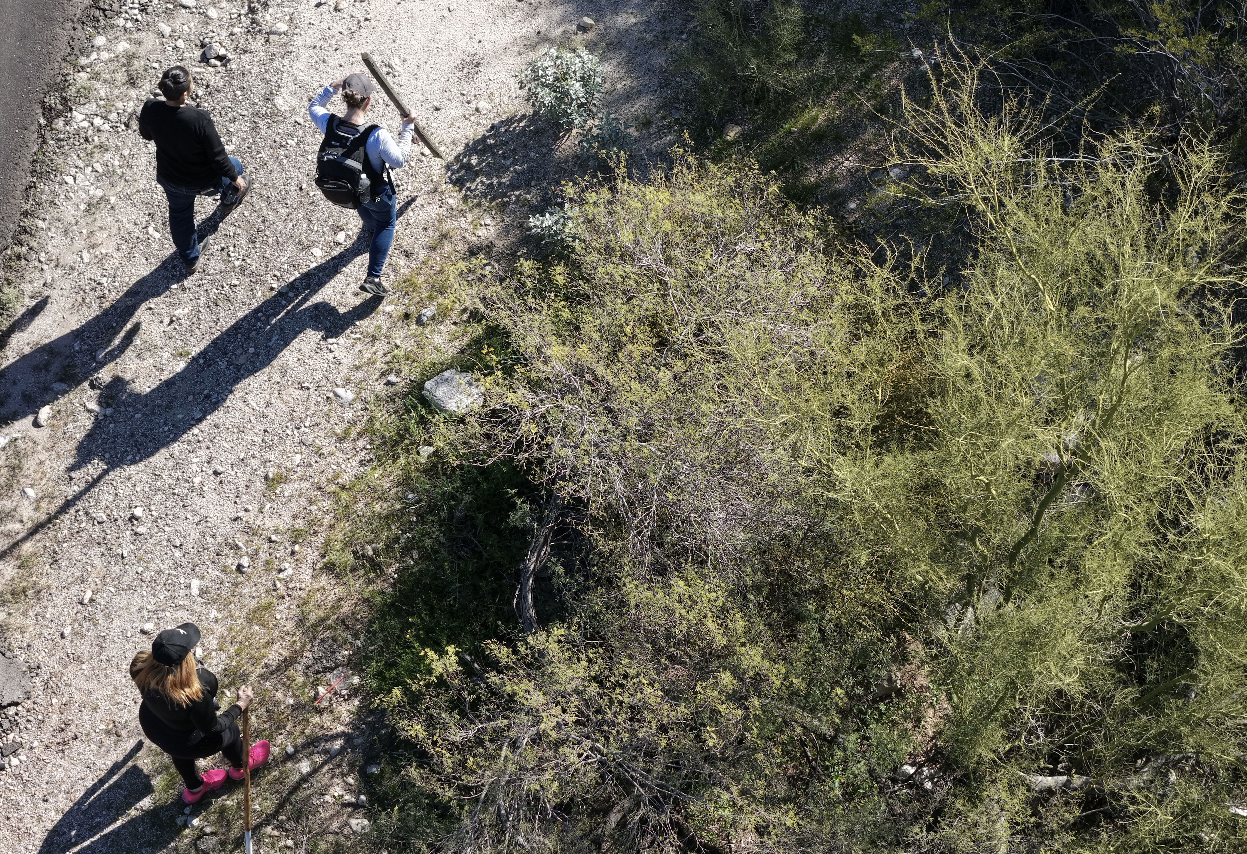 Nancy Guthrie update: Backpack found by search volunteers<br><br>